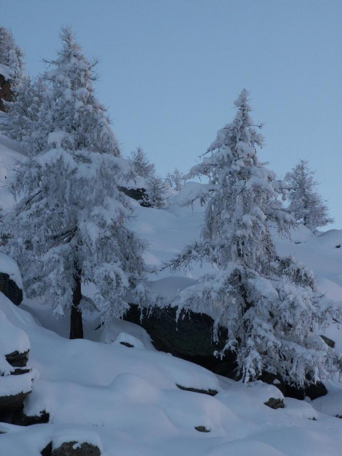 Haus Holiday Saas-Fee Exterior photo