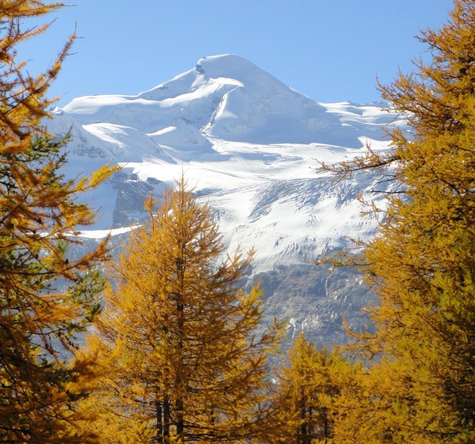 Haus Holiday Saas-Fee Exterior photo